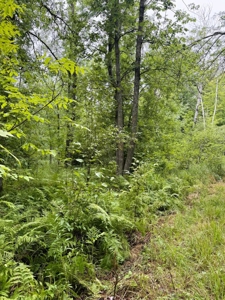 3 Bedroom Country Home on 25 Acres For Sale in Moose Lake, MN - image 41