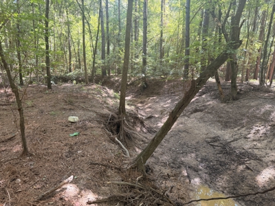 17± Acres of East Texas Woods with Double Wide Fixer-Upper - image 20