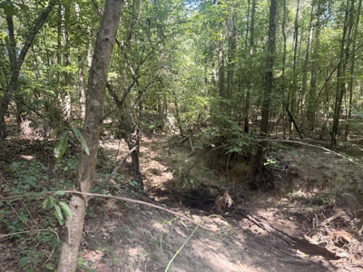 17± Acres of East Texas Woods with Double Wide Fixer-Upper - image 7