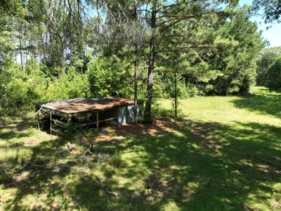 17± Acres of East Texas Woods with Double Wide Fixer-Upper - image 2