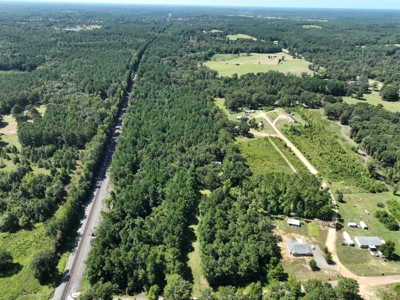 17± Acres of East Texas Woods with Double Wide Fixer-Upper - image 24