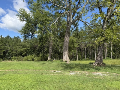 Country Home For Sale In Tn, 2 Newer Shops, No Restrictions - image 36