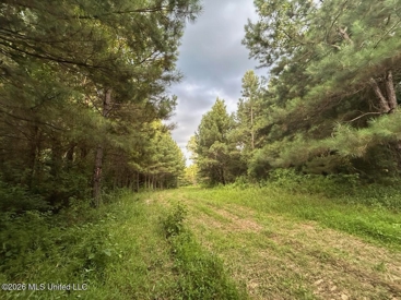Listing 113