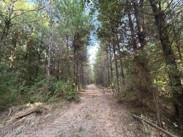 Listing 113