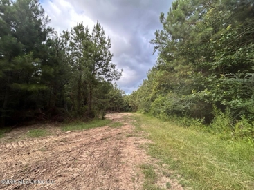 Listing 113