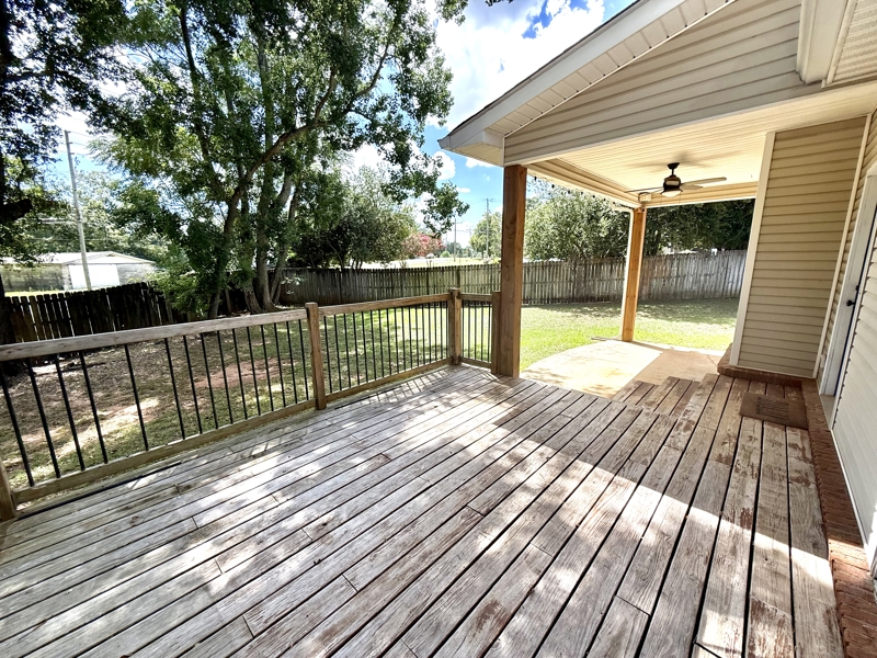 No Caption