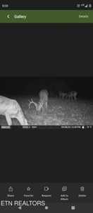 Working Cattle Farm with Home for Sale in Fentress County, TN - image 49