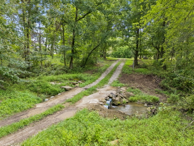 Working Cattle Farm with Home for Sale in Fentress County, TN - image 40
