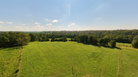Country Home + Guest House on 40 Acres in the Missouri Ozarks - image 32