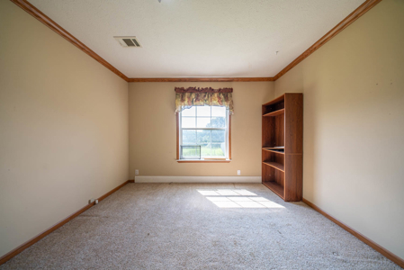 Country Home + Guest House on 40 Acres in the Missouri Ozarks - image 24