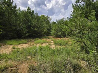 118 Acres of Riverfront Mountain Paradise - image 21