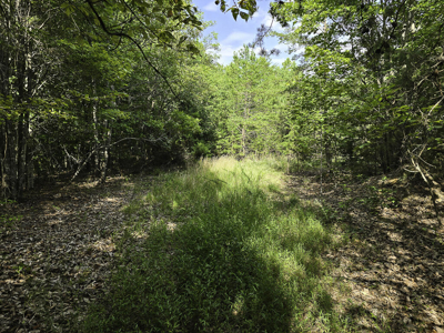 118 Acres of Riverfront Mountain Paradise - image 15