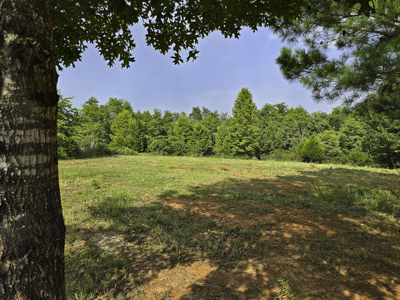 118 Acres of Riverfront Mountain Paradise - image 8