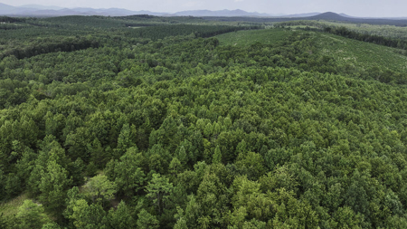 118 Acres of Riverfront Mountain Paradise - image 19