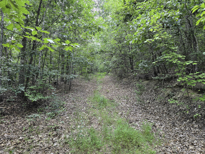 118 Acres of Riverfront Mountain Paradise - image 20
