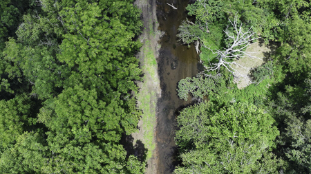 118 Acres of Riverfront Mountain Paradise - image 29