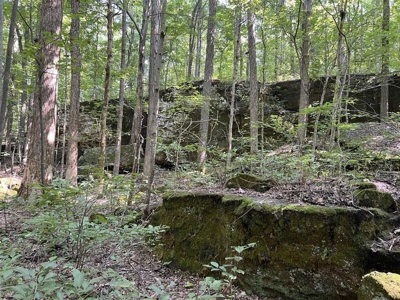 74 acre farm & country home for sale near Marion, Ky. - image 20