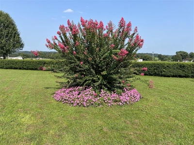 74 acre farm & country home for sale near Marion, Ky. - image 21