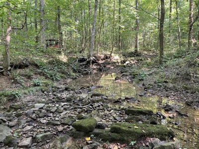 74 acre farm & country home for sale near Marion, Ky. - image 14
