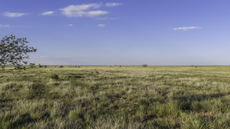 Turnkey Horse & Cattle Property With Amazing Barndominium! - image 31