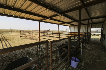Turnkey Horse & Cattle Property With Amazing Barndominium! - image 45