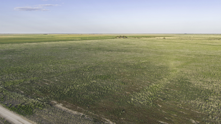 Turnkey Horse & Cattle Property With Amazing Barndominium! - image 41