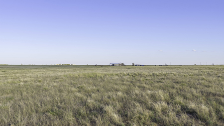 Turnkey Horse & Cattle Property With Amazing Barndominium! - image 35