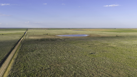 Turnkey Horse & Cattle Property With Amazing Barndominium! - image 32