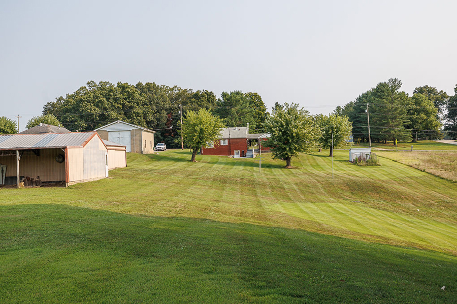 No Caption