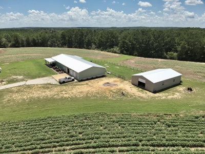 Bardominium Custom Home with 38 acres for sale Chancellor, AL - image 35