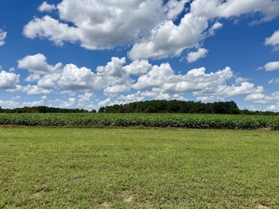 Bardominium Custom Home with 38 acres for sale Chancellor, AL - image 43
