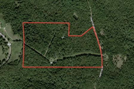 Country Home on 67 Acres in Caulfield  | The Missouri Ozarks - image 2