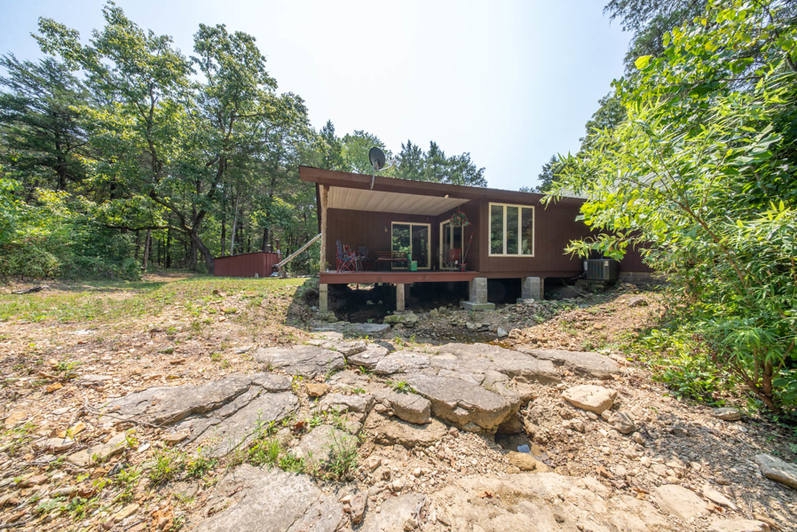 No Caption