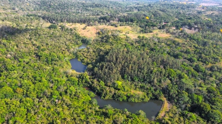 150-Hectare Investment Land for Sale in La Chorrera - image 3