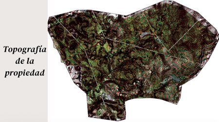 150-Hectare Investment Land for Sale in La Chorrera - image 15