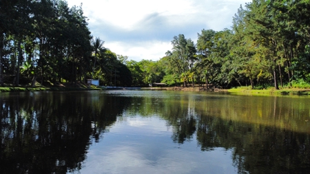 150-Hectare Investment Land for Sale in La Chorrera - image 12
