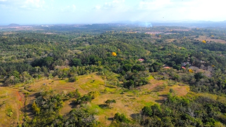150-Hectare Investment Land for Sale in La Chorrera - image 5