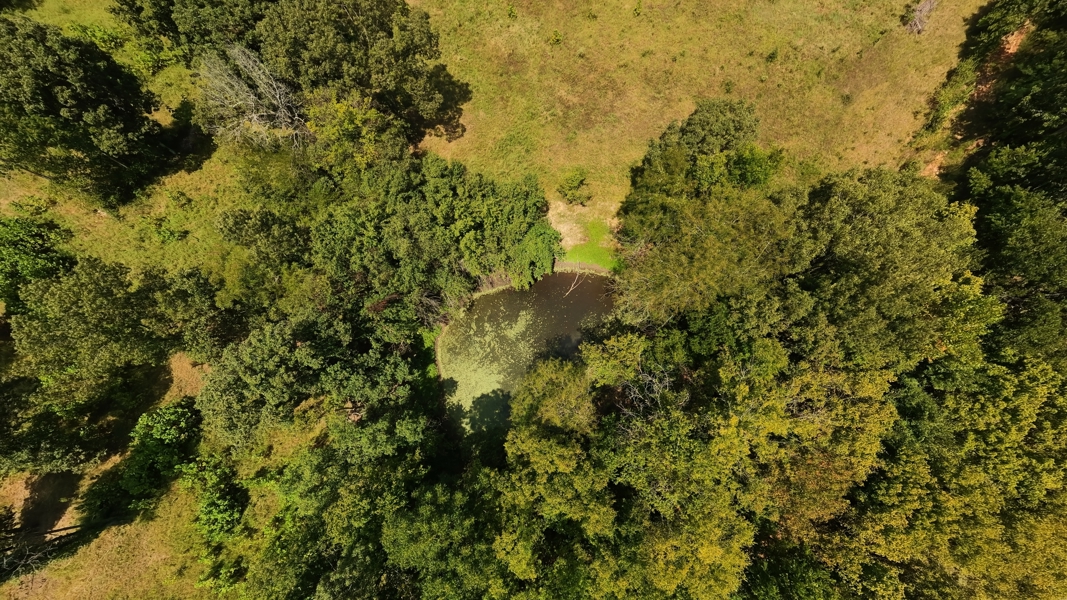 No Caption