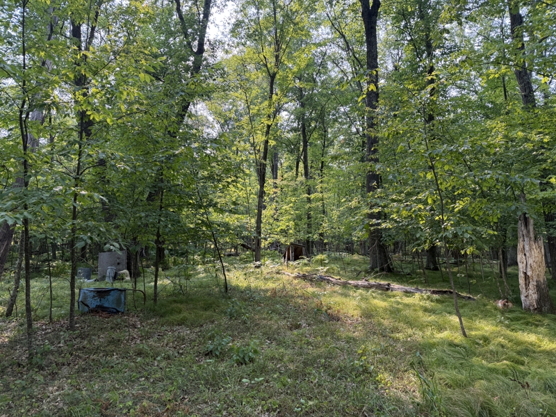No Caption