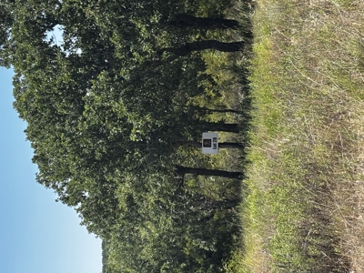 5-61-Acres-For-Sale-Ranches-at-Century-Oaks-Brown-County-Texas - image 18