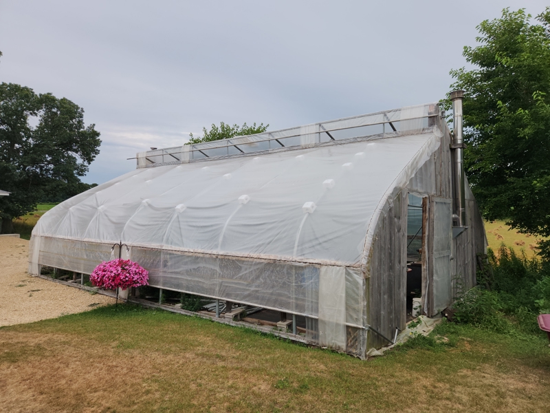 No Caption
