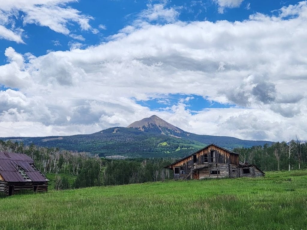 No Description