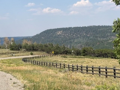 108 Acres Near Telluride-The Historic Cowboy Heaven - image 12