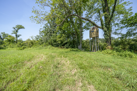 Large Farm with Country Home for Sale in Weakley County, TN - image 45