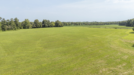 Large Farm with Country Home for Sale in Weakley County, TN - image 36