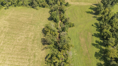 Large Farm with Country Home for Sale in Weakley County, TN - image 43