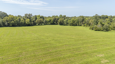 Large Farm with Country Home for Sale in Weakley County, TN - image 38