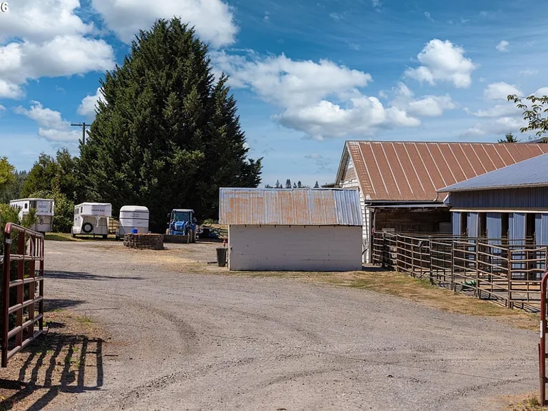 No Caption