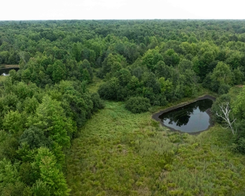 Juneau County WI 80 Acre Camp For Sale