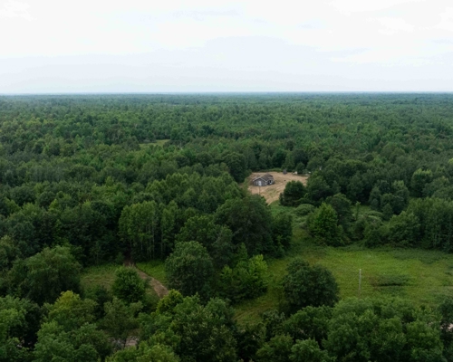 Juneau County WI 80 Acre Camp For Sale